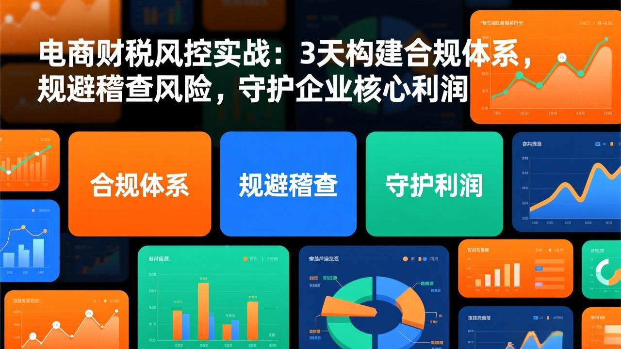 电商财税风控实战：3天构建合规体系，规避稽查风险，守护企业核心利润-千汇网创