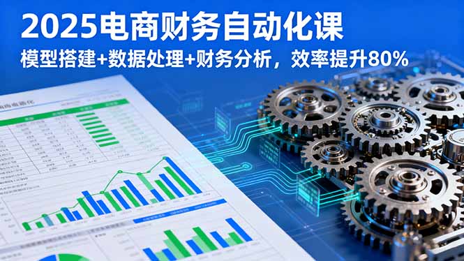 2025电商财务自动化课，模型搭建+数据处理+财务分析，效率提升80%-千汇网创