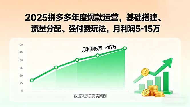 2025拼多多年度爆款运营，基础搭建、流量分配、强付费玩法，月利润5-15万-千汇网创