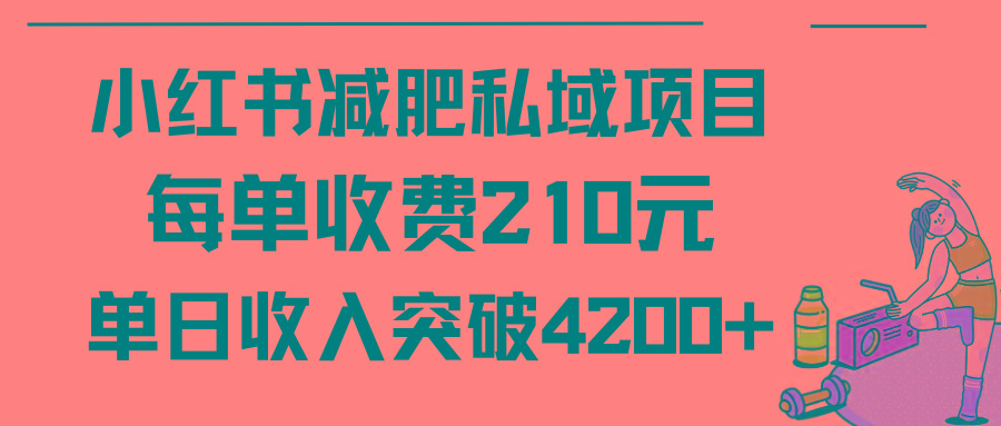 (9466期)小红书减肥私域项目每单收费210元单日成交20单，最高日入4200+-千汇网创