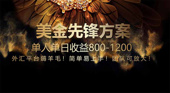 免费技术!小众赛道!一年布局抵三年努力,每日800+-千汇网创