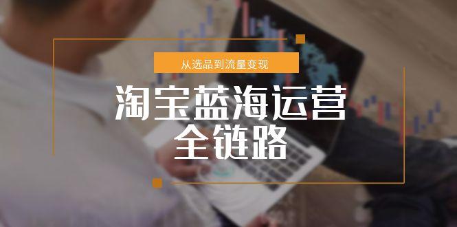 淘宝蓝海运营全链路，从选品到流量变现，小类目突围完整方案-千汇网创