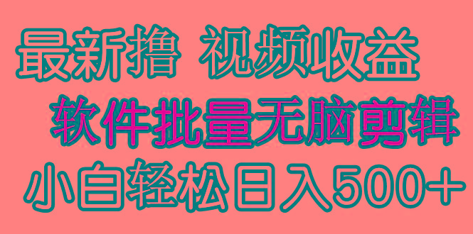 (9569期)发视频撸收益，软件无脑批量剪辑，第一天发第二天就有钱-千汇网创