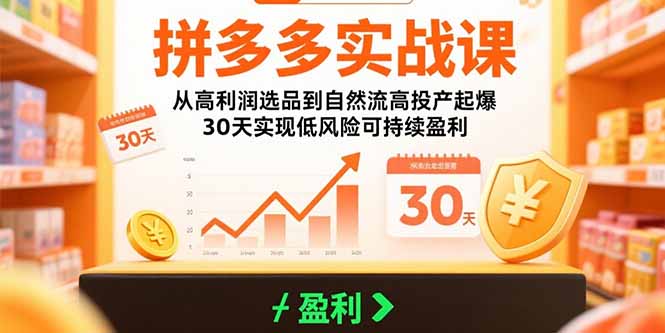 拼多多实战课：从高利润选品到自然流高投产起爆 30天实现低风险可持续盈利-千汇网创