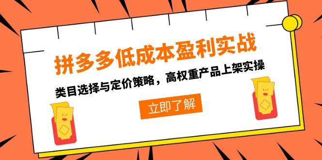 拼多多低成本盈利实战，类目选择与定价策略，高权重产品上架实操-千汇网创