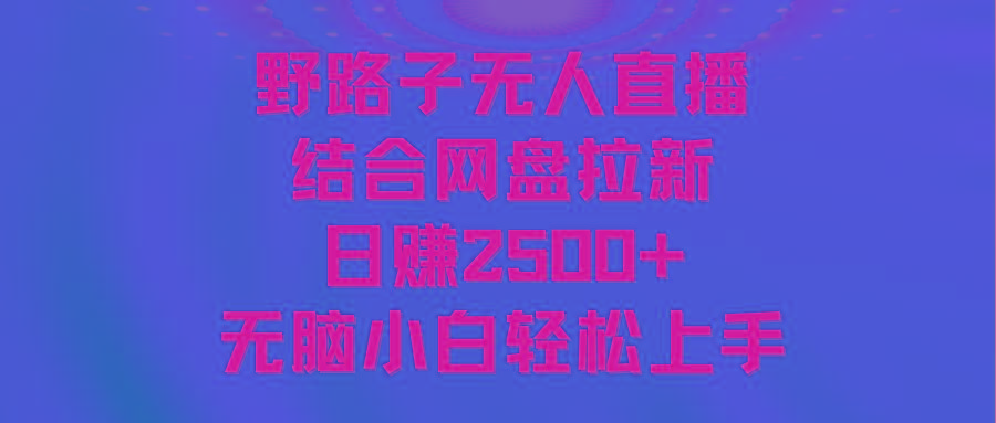 无人直播野路子结合网盘拉新，日赚2500+多平台变现，小白无脑轻松上手操作-千汇网创