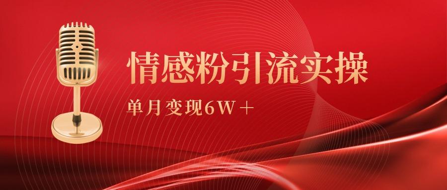 (9473期)单月变现6w+，情感粉引流变现实操课-千汇网创