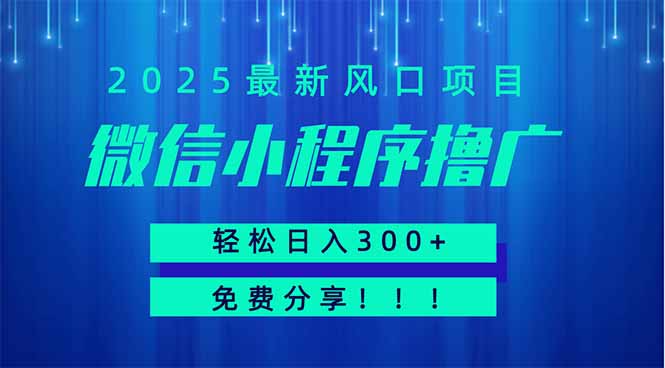 微信小程序撸广，最新风口项目，日入300+ 免费分享 可批量操作 小白可...-千汇网创