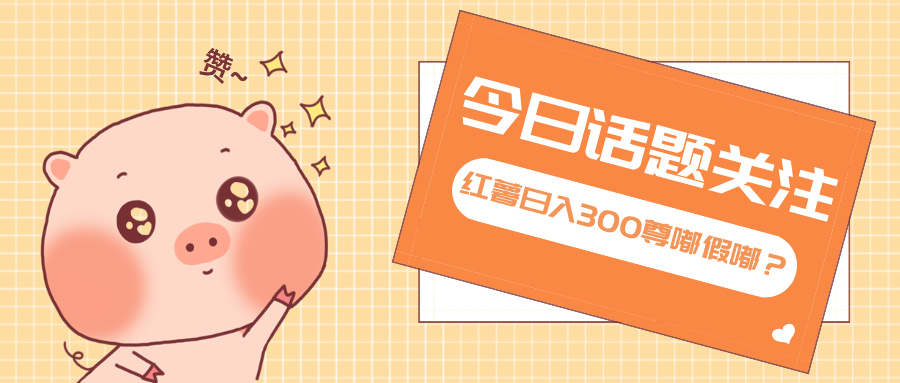 全新红薯浏览，打破常规 双端操作，每天运行6小时，让你获得工作以外的...-千汇网创