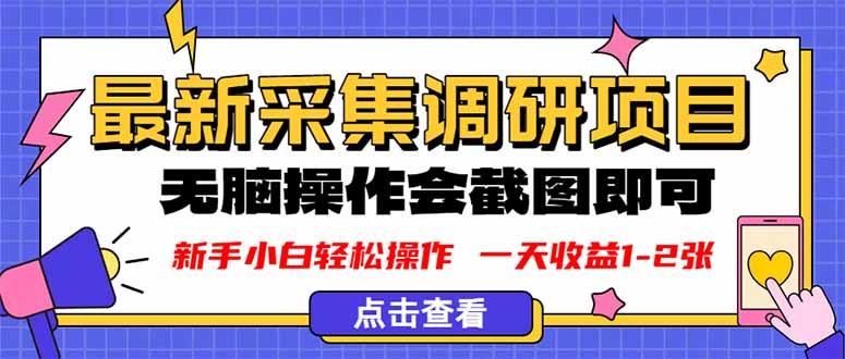 新版采集调研项目，截图上传即可，无脑操作，日收益1-2张-千汇网创