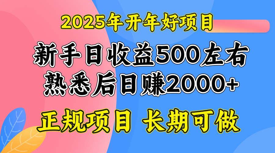 2025开年好项目，单号日收益2000左右-千汇网创
