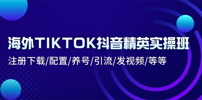 海外TIKTOK抖音精英实操班：注册下载/配置/养号/引流/发视频/等等-千汇网创