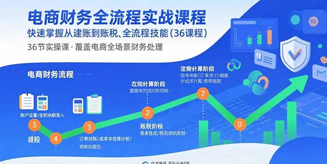 电商财务全流程实战课程：快速掌握从建账到报税的全流程技能(36节课-千汇网创
