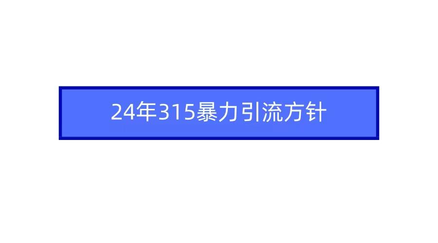 (9398期)2024年315暴力引流方针-千汇网创