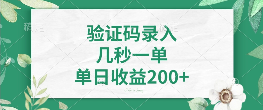 验证码录入，几秒一单，单日收益200+-千汇网创