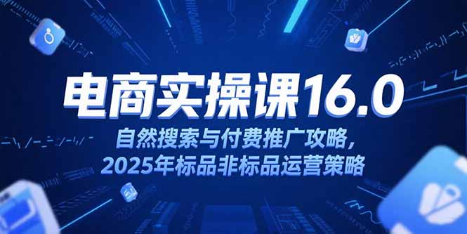 淘宝电商运营课16.0，自然搜索与付费推广攻略，2025年标品非标品运营策略-千汇网创
