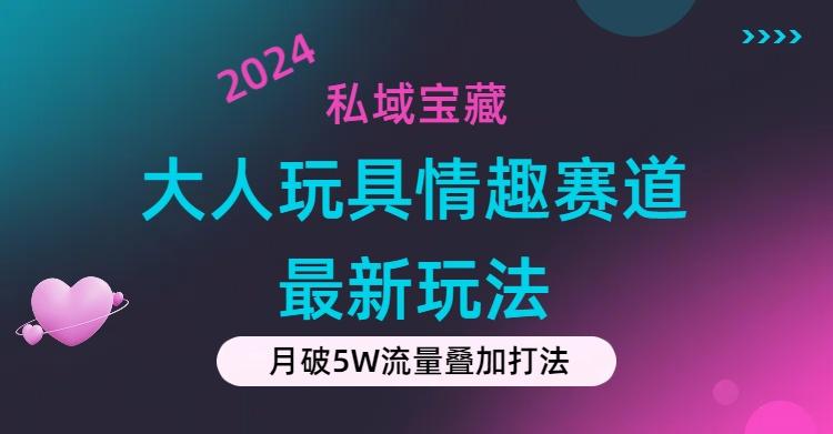 私域宝藏：大人玩具情趣赛道合规新玩法，零投入，私域超高流量成单率高-千汇网创
