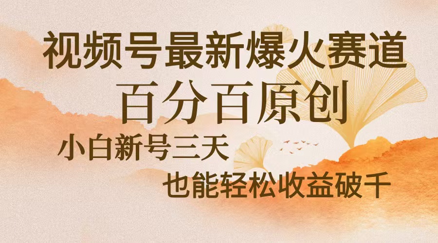 视频号最新爆火赛道，中老年粉深信不疑，百分百原创，新号三天收益轻松...-千汇网创