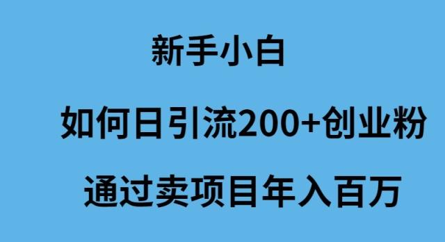 (9668期)新手小白如何日引流200+创业粉通过卖项目年入百万-千汇网创