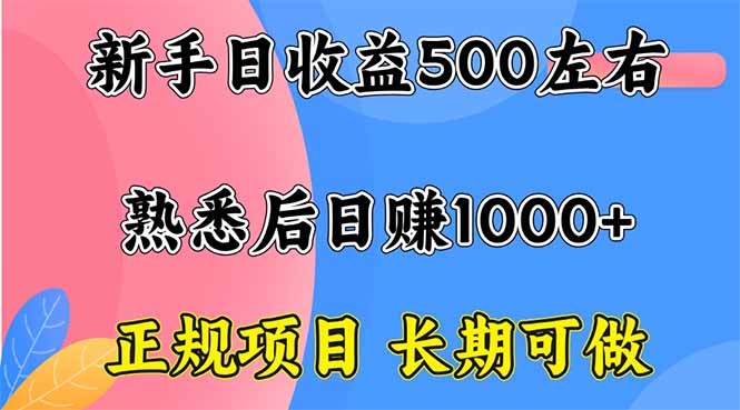 新手日收益500+ 正规项目 长期可做-千汇网创