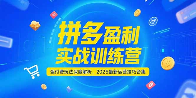 拼多多盈利实战训练营，强付费玩法深度解析，2025运营技巧合集-更新6月-千汇网创