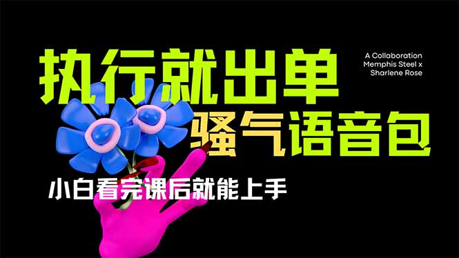 爆火全网的开车导航骚气语音包,只要执行就出单，小白看完课程就能实操...-千汇网创