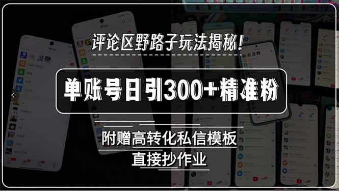 评论区野路子玩法揭秘！单账号日引300+精准粉，附赠高转化私信模板，直...-千汇网创