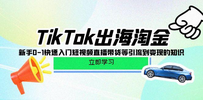 (10035期)TikTok-出海淘金，新手0-1快速入门短视频直播带货等引流到变现的知识-千汇网创