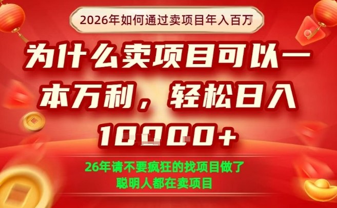 一单净利润1K+，26年想年入100个W，死磕卖项目就够了【揭秘】-千汇网创