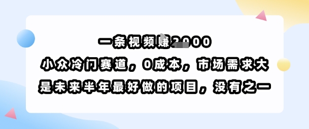 一条视频挣1k，小众冷门赛道，0成本，市场需求大，是未来半年最好做的项目，没有之一-千汇网创