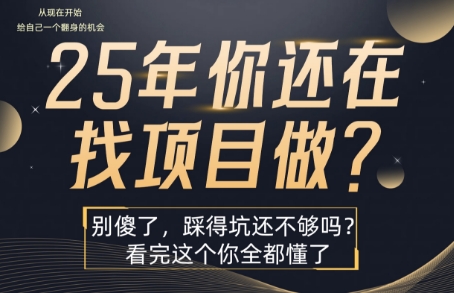 25年，你还在疯狂的找项目吗？别傻了，看完这个你都懂了【揭秘】-千汇网创