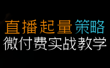 半野老师·直播带货起量与微付费必学课视频号-千汇网创