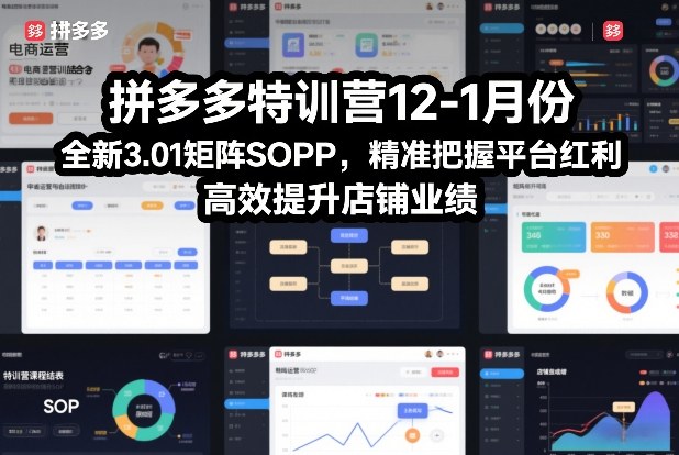 拼多多特训营12-1月份，全新3.01矩阵Sop，精准把握平台红利，高效提升店铺业绩-千汇网创