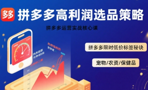 拼多多选品暴利技术实战课，拼多多高利润选品策略，拼多多限时低价标签秘诀-千汇网创