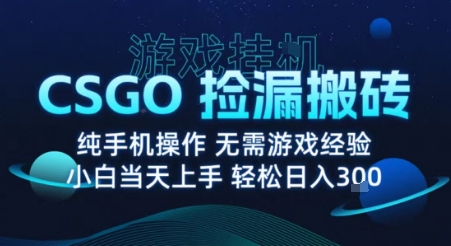 8月最新游戏搬砖，CSGO纯挂G，不需要玩游戏，实现真挂G，月入1W+【揭秘】-千汇网创
