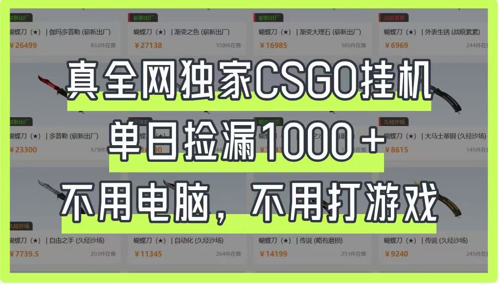 真全网独家CSGO挂机，单日捡漏1000+，不用电脑，不用养号-千汇网创