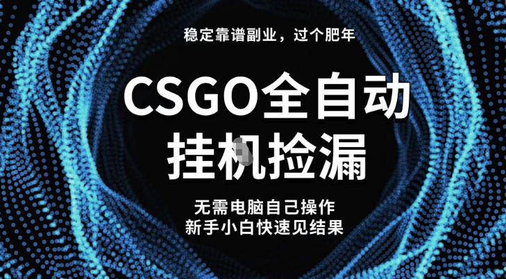 【稳定副业】全球最热门游戏CSGO全自动捡漏，最新玩法，新手小白日入5张+【揭秘】-千汇网创