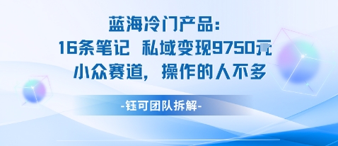 蓝海项目：16条笔记私域变现9750米小众赛道操作的人不多-千汇网创