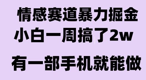 情感暴力掘金项目，新人操作一周挣了2W，长期稳定小白可做【揭秘】-千汇网创