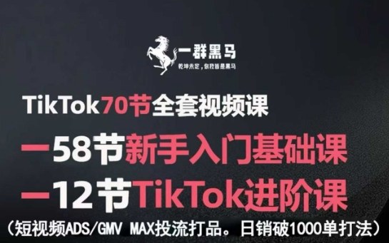 TikTok全套视频课，新手入门+进阶课，短视频ADS-GMV MAX投流打品，日销破1000单打法-千汇网创