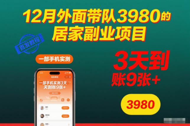 12月外面带队3980的居家副业项目，一部手机实测3天到账9张+，首发教程【揭秘】-千汇网创