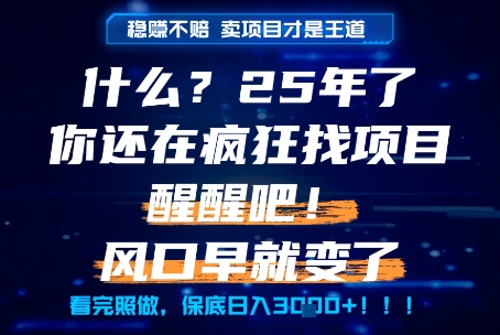 什么？25年你还在疯狂找项目做，醒醒吧，看完这些你全都懂了！【揭秘】-千汇网创