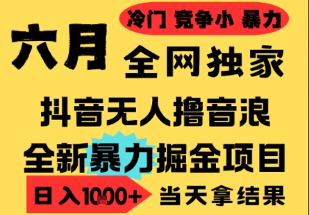25年6月高爆抖音无人直播最新撸音浪掘金项目，小白可做，无脑日入1k+，门槛低可批量矩阵【揭秘】-千汇网创