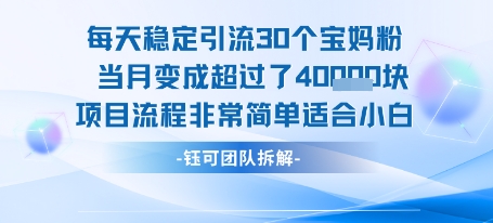每天稳定引流30个人 当月变成超过了4个W项目流程非常简单适合小白-千汇网创