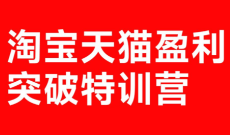 玺承·淘宝天猫盈利突破特训营(25年12月线下课)【音频+字幕】-千汇网创