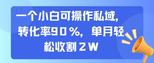 一个小白可操作私域，转化率90%，单月轻松收割2W-千汇网创
