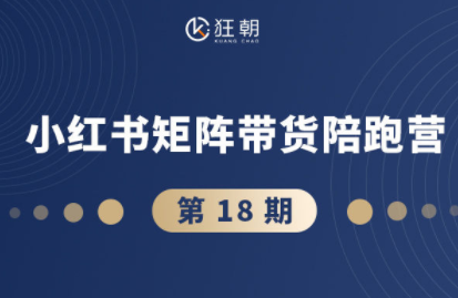 盗坤·抖音小红书视频号短视频带货与直播变现(11-18期)-千汇网创