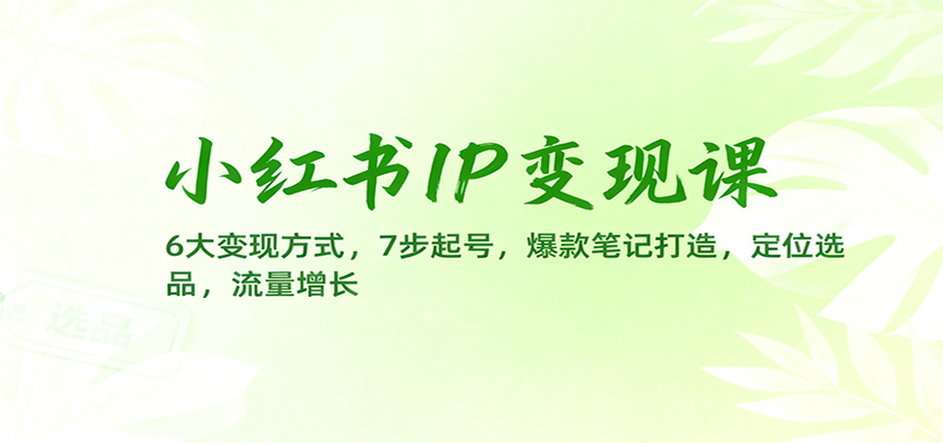 小红书IP变现课：6大变现方式，7步起号，爆款笔记打造，定位选品，流量增长-千汇网创