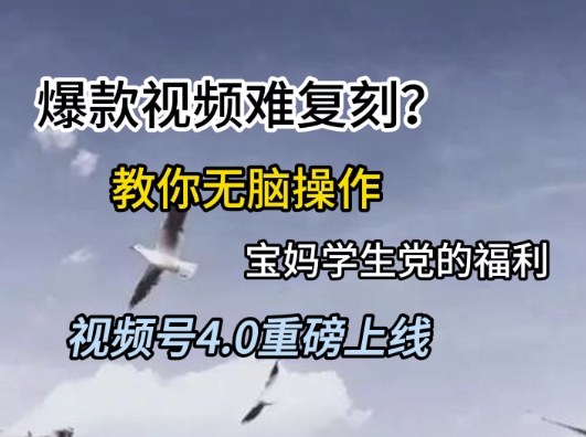 视频号4.0重磅上线，爆款视频难复刻？教你无脑操作宝妈学生党的福利【揭秘】-千汇网创