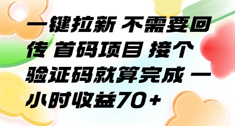 一键拉新 不需要回传 首码项目 接个验证码就算完成 一小时收益70+【揭秘】-千汇网创